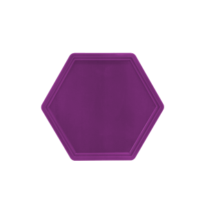  SEXTAVADA 18X20 ROXA